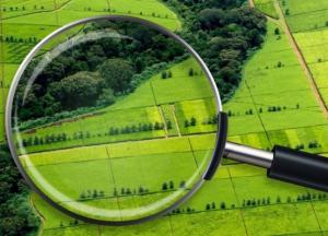 Названа средняя стоимость гектара украинской земли