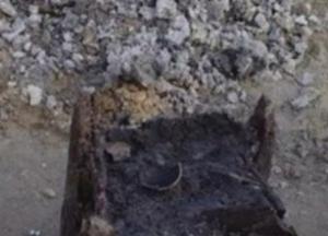 Найдена самая древняя деревянная постройка 