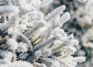 Синоптики призвали украинцев быть готовыми к аномальной зиме