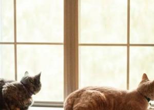 Прогноз погоды на 6 марта: в Украине сухо и тепло