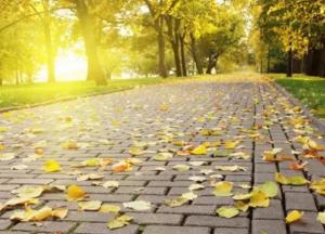 Прогноз погоды на 10 сентября: в Украине будет тепло и солнечно