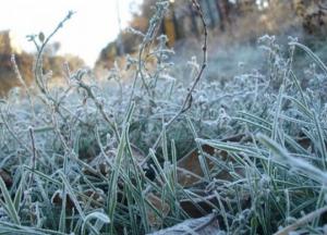 Синоптики предупредили о заморозках и порывах ветра