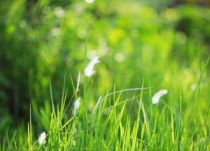 Прогноз погоды на 30 августа: лето не отступает