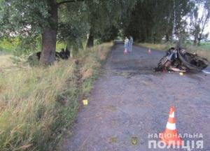 В смертельном ДТП на Черниговщине машину разорвало пополам (фото)