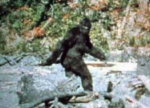 Рассекречен архив: ФБР занималось исследованием снежного человека