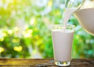 Медики объяснили, какие болезни вызывает употребление молока