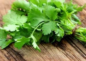 Медики рассказали о пользе кинзы