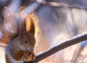 Снежит, дождит и немного солнца: прогноз погоды на выходные