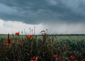 Прогноз погоды на 15 мая: на Запад надвигаются грозы, на Востоке – до +27 градусов