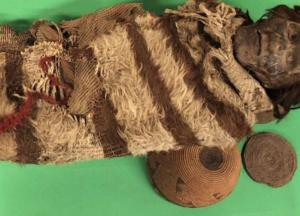 Ученые расшифровали геномы мумий возрастом 2 000 лет благодаря вшам