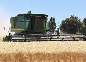 Украина вошла в тройку крупнейших экспортеров сельхозпродукции в Евросоюз