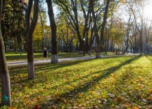 Осень 2020 года в Киеве была самой теплой за 140 лет наблюдений