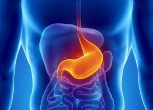 Названы продукты, восстанавливающие слизистую желудка