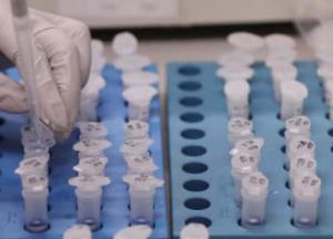 Массовое тестирование на коронавирус: закон вступил в силу