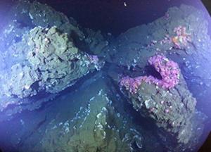 Ученые показали уникальные снимки подводных вулканов (фото)