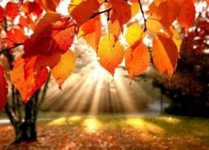 Прогноз погоды на 9 ноября: снова потепление (карта)