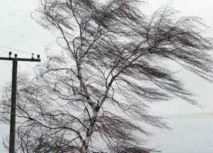 В Украине объявили штормовое предупреждение