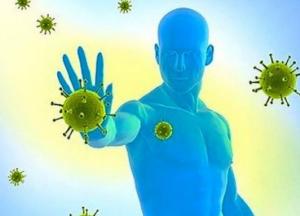 Врачи назвали продукты для укрепления иммунитета 