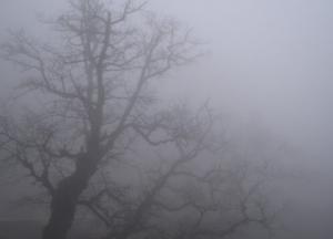 Погода в Украине на 6 января: местами влажно, с туманами