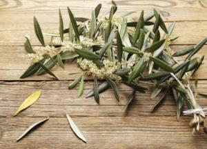 Медики назвали "целительный" напиток для гипертоников