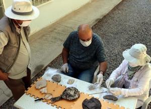 Археологи нашли идолы богов и богинь, которым поклонялись в таинственной империи хеттов (фото)