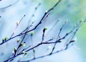 Прогноз погоды на 3 апреля: днем - тепло, ночью - мороз