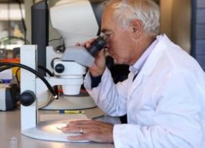 Ученые назвали витамин, который снижает риск заболеваний грудной клетки