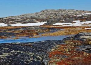 Ученые обнаружили под Гренландией гигантскую «темную» реку