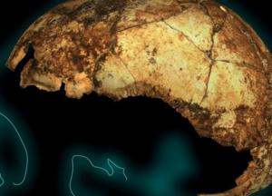 Ученые нашли древнейший череп Homo erectus