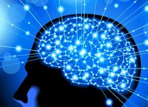 Ученые назвали три суперпродукта для улучшения работы головного мозга 