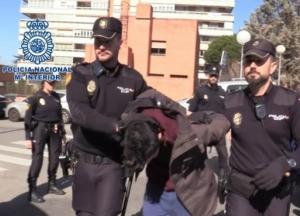 В Испании мужчина четвертовал мать и ел ее две недели