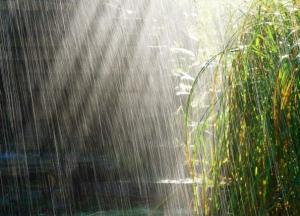 Прогноз погоды на 26 июня: грозы и невыносимая жара 