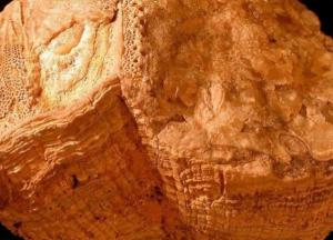 70 миллионов лет назад земные сутки были короче - вывод ученых