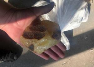 На Закарпатье пресекли контрабанду янтаря (фото)