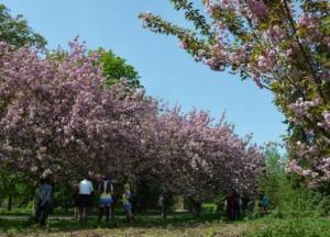 Прогноз погоды на 28 апреля: в Украине будет тепло и солнечно