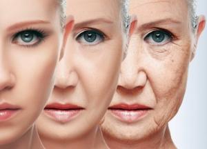 Ученые выяснили, от чего зависит скорость старения