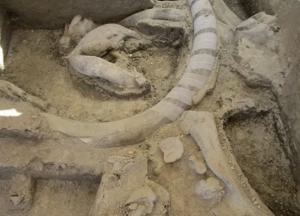 Археологи обнаружили "ловушку" для мамонтов, которой 14 тыс. лет