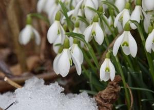 Прогноз погоды на 25 марта: на западе – солнце, на востоке – дождь