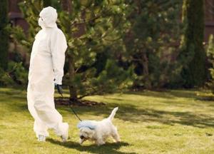 В Украине начали сдавать в аренду собак (фото)