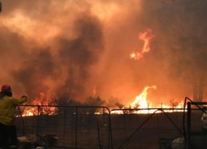 В Австралии из-за масштабных лесных пожаров объявили чрезвычайное положение