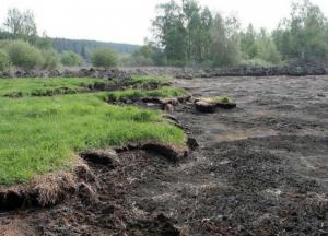 Ученые нашли способ предотвратить глобальное потепление