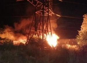 В Одесской области произошел пожар под высоковольтными линиями