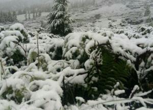 Гору Поп Иван в Карпатах снова засыпало снегом (фото)
