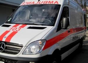 На Прикарпатье трое детей попали в реанимацию после укуса змей