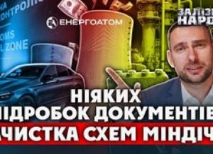 Тимчасова слідча комісія ВР припинила митну схему з імпорту авто та виявила зловживання в "Енергоатомі"