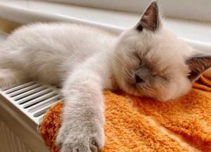 Прогноз погоды на 19 октября: в Украину идет похолодание