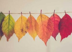 Прогноз погоды на 26 октября: в Украине солнечно, но прохладно