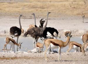 Ученые рассказали о древних обитателях пещеры «Таврида»