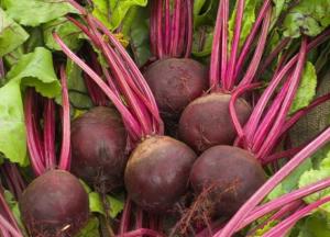 Медики дали советы по «оздоровлению» крови