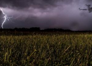 Прогноз погоды на 29 мая: дожди с грозами и градом